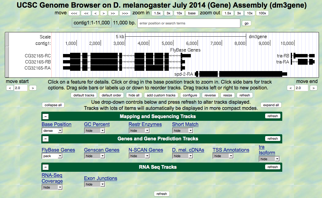 Genomic region surrounding the *tra* gene