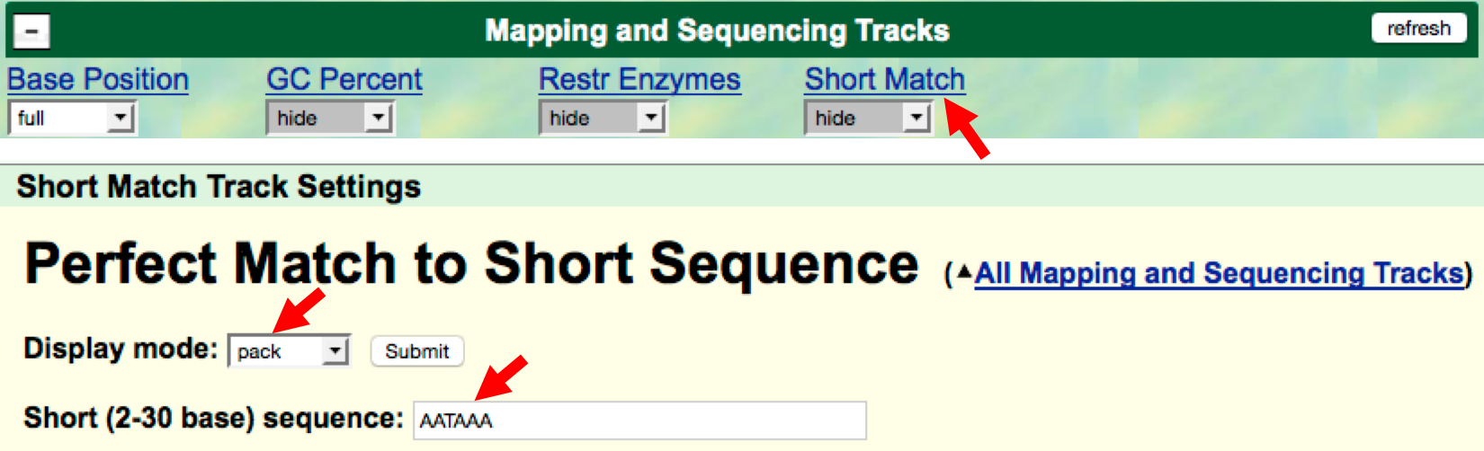 Search for the mRNA termination signal