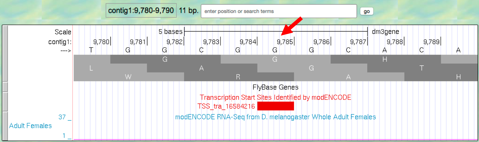 Annotated TSS "TSS_tra_16584216"