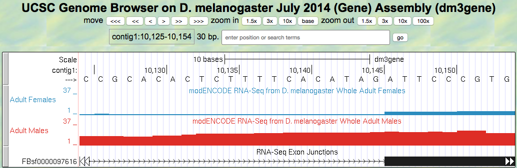 Genome Browser view of the beginning of exon 2 of tra-RA